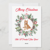 Hartige Kittens Plat Kerstkaart (Achterkant)