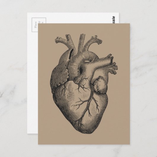  hartillustratie briefkaart (Voorkant / Achterkant)