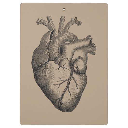  hartillustratie klembord (Achterkant)