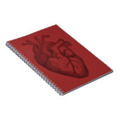  hartillustratie notitieboek (Rechterzijde)