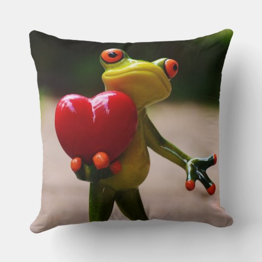 Hartkussen met Schattigee kikker Kussen (Achterkant)