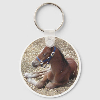 hartlandfoal sleutelhanger