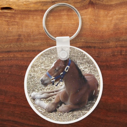 hartlandfoal sleutelhanger (Voorkant)