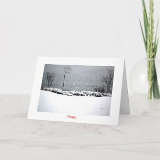 Hartley Mason Park - Vakantie Kaart - Vrede