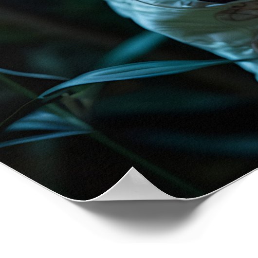 Hartlicht Poster (Hoek)