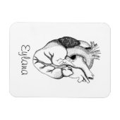 hartmagneet magneet (Horizontaal)