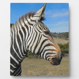 Hartmann's Zebra Profiel op Fossil Rim Fotoplaat