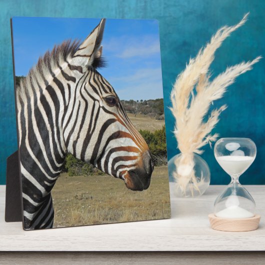 Hartmann's Zebra Profiel op Fossil Rim Fotoplaat (Zijkant)