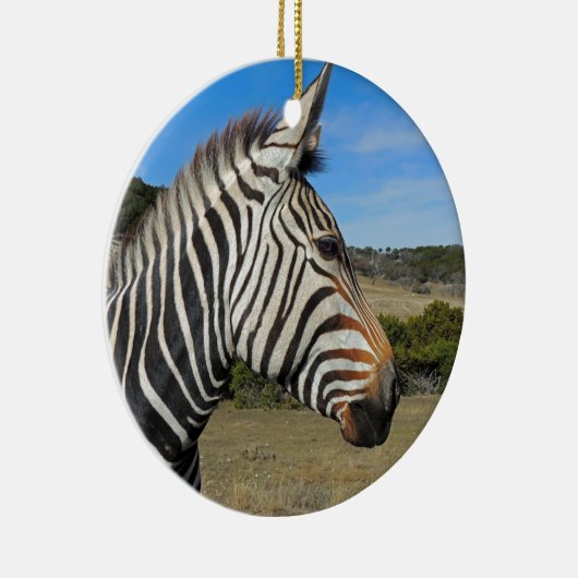 Hartmann's Zebra Profiel op Fossil Rim Keramisch Ornament (Rechts)