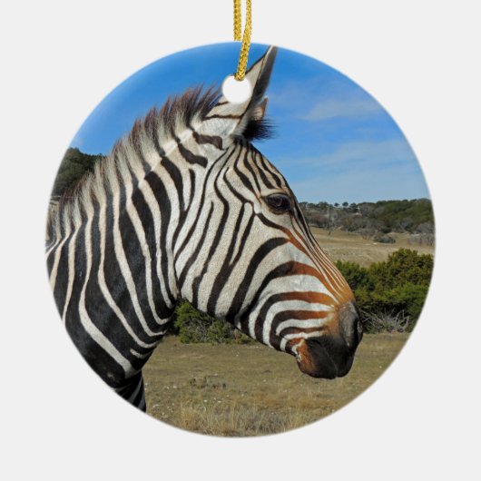 Hartmann's Zebra Profiel op Fossil Rim Keramisch Ornament (Voorkant)