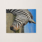 Hartmann's Zebra Profiel op Fossil Rim Legpuzzel (Horizontaal)