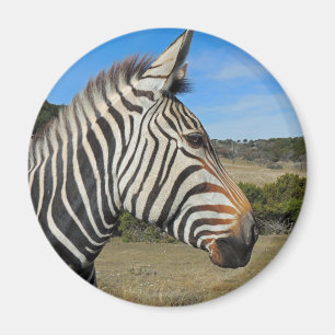 Hartmann's Zebra Profiel op Fossil Rim Magneet