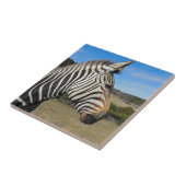 Hartmann's Zebra Profiel op Fossil Rim Tegeltje (Zijkant)