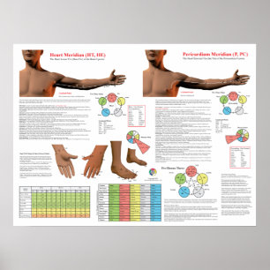 Hartmeridiaan Acupunctuurpunten Poster