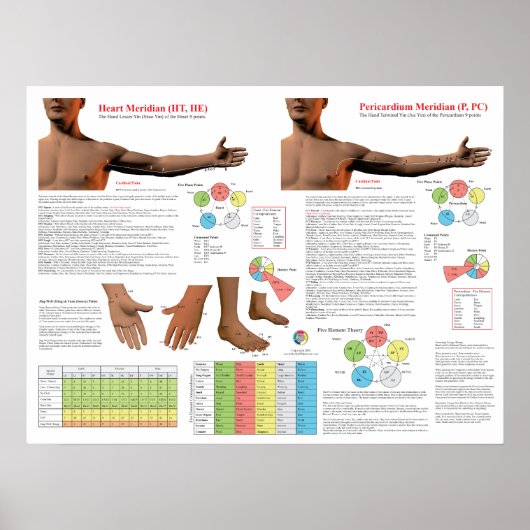 Hartmeridiaan Acupunctuurpunten Poster (Voorkant)