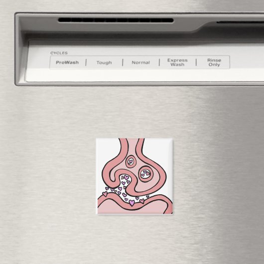 Hartneurotransmitters Magnet (Insitu (Vaatwasser))
