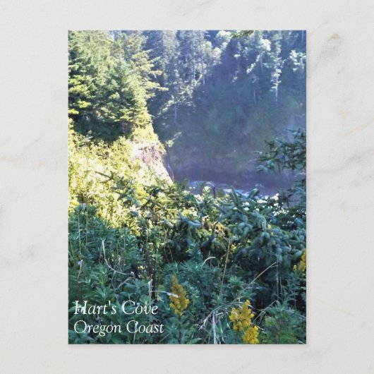 Hart's Cove, Oregon Coast Briefkaart (Voorkant)