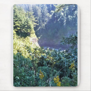 Hart's Cove, Oregon Coast Muismat