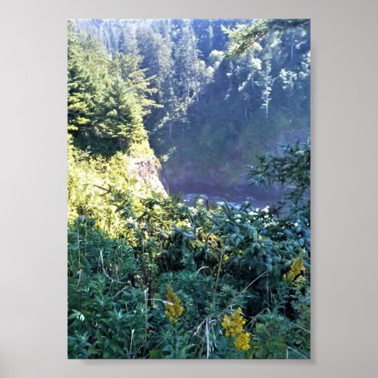 Hart's Cove, Oregon Coast Poster (Voorkant)