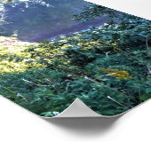 Hart's Cove, Oregon Coast Poster (Hoek)