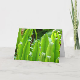 Hart's Tongue Fern Card Kaart