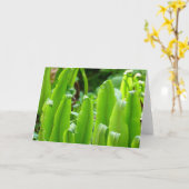 Hart's Tongue Fern Card Kaart (Gele Bloem)