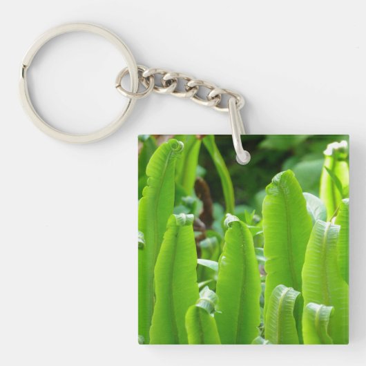 Hart's Tongue Fern Key Ring Sleutelhanger (Voorkant)