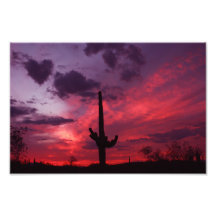 Hartslag van Arizona