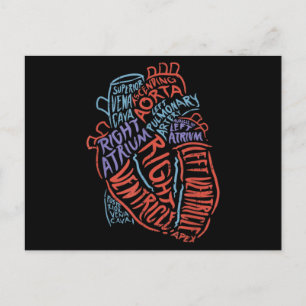 Hartspecialist Anatomie Doctor Medische biologie Briefkaart