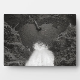 hartstikke fotoplaat