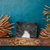 hartstikke fotoplaat (Zijkant)