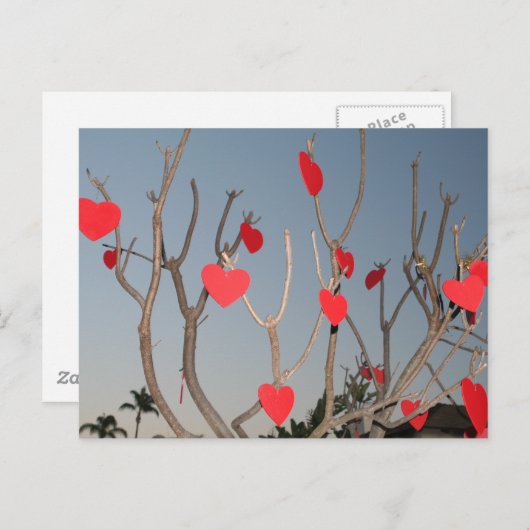 Hartstructuur Briefkaart (Voorkant / Achterkant)