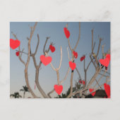 Hartstructuur Briefkaart (Voorkant)