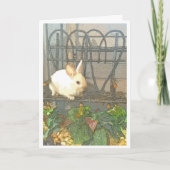 Hartverwarmende Bunny Aanmoediging Kaart (Voorkant)