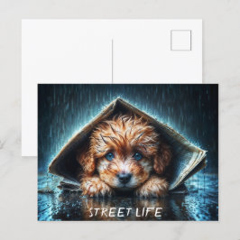 Hartverwarmende natte hond bij stormachtig weer briefkaart