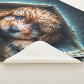 Hartverwarmende natte hond bij stormachtig weer sherpa deken (3/4)