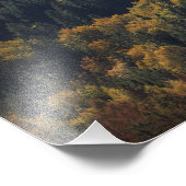 Hartvorm in een bos in Slovenië Foto Afdruk (Hoek)