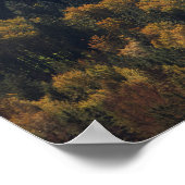 Hartvorm in een bos in Slovenië Poster (Hoek)