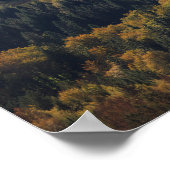 Hartvorm in een bos in Slovenië Poster (Hoek)