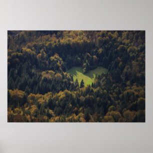 Hartvorm in een bos in Slovenië Poster