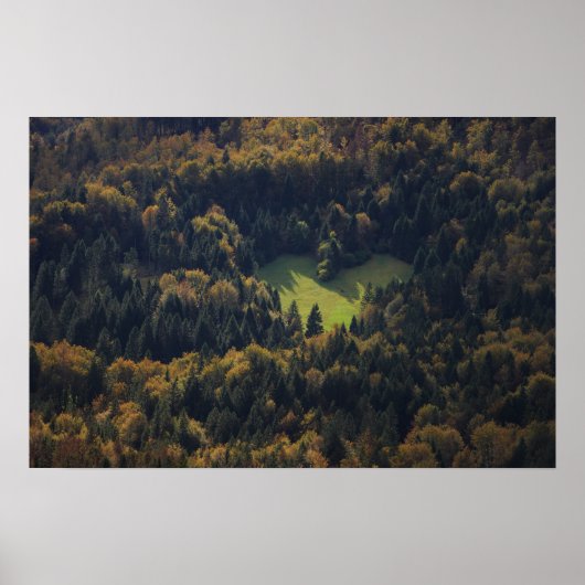 Hartvorm in een bos in Slovenië Poster (Voorkant)