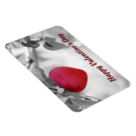 Hartvormig Apple fotomagneet Magneet (Rechterzijde)