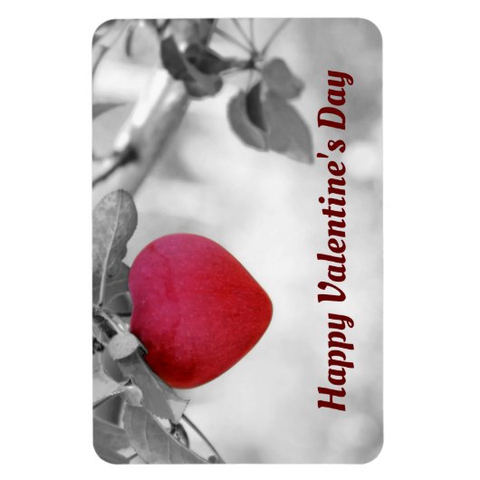 Hartvormig Apple fotomagneet Magneet (Verticaal)