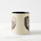 Hartvormig Kattendesign Tweekleurige Koffiemok (Center)