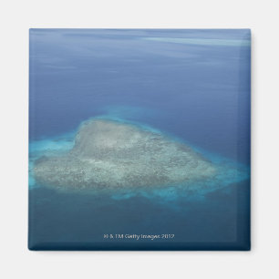 Hartvormig koraalrif magneet