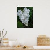 Hartvormig Lila Poster (Keuken)