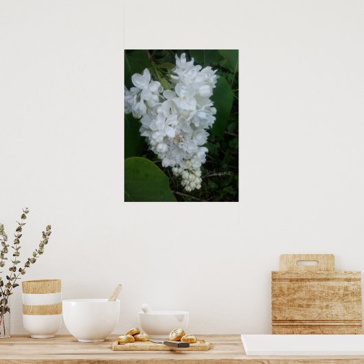 Hartvormig Lila Poster (Keuken)