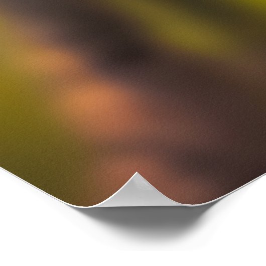 Hartvormig Ornament van het leven Poster (Hoek)