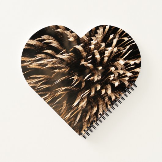 Hartvormig vuurwerk notitieboek (Achterkant)