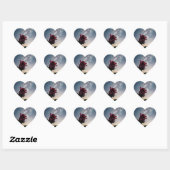 Hartvormige sticker met roos & sterren (Vel)